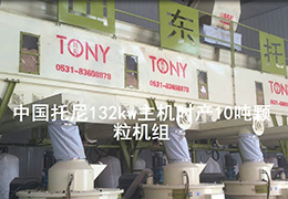 帶(dài)水印6台132kw顆粒機(jī)壓制顆粒視頻